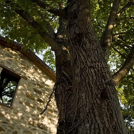 Slow Life Umbria - Sound Of Nature Landhaus